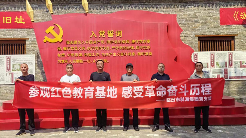 開展“迎七一”主題黨日活動